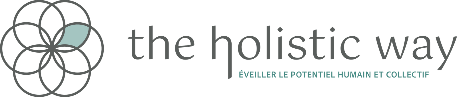 holisticwaycoaching.com